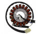 Stator Alternator for Yamaha YP 250 Majesty, Aprilia Leonardo 300