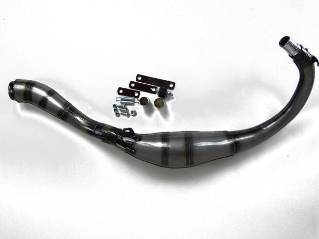 Auspuff Rieju RS RS1 4V 5V 6V Evolution GP Style