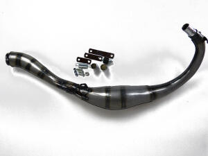 Auspuff Rieju RS RS1 4V 5V 6V Evolution GP Style