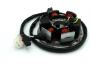 Lichtmaschine Stator Minarelli AM6 Derbi