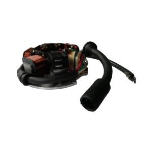 Stator for Vespa PK 50 PK 80 PK125 Primavera 125