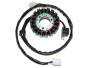 Lichtmaschine Stator Suzuki LTZ Z 400, KFX 400, Arctic CAT DVX 400