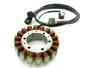 Lichtmaschine für Suzuki DR650 DR650SE 1996–2017 Stator