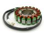 Lichtmaschine für Honda VTR 1000 F FIRESTORM (SC36) / VTR1000F Superhawk