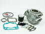 Zylinder für Aprilia RS/Tuono/MX/RX/SX125 Rotax 122 Big Bore Tuning + Nadellager