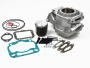Zylinder für Aprilia RS/Tuono/MX/RX/SX125 Rotax 122 Big Bore Tuning + Nadellager