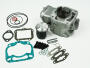 Zylinder für Aprilia RS/Tuono/MX/RX/SX125 Rotax 122 Big Bore Tuning + Nadellager