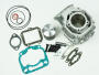 Zylinder für Aprilia RS/Tuono/MX/RX/SX125 Rotax 122 Big Bore Tuning + Nadellager