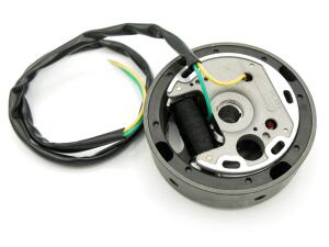 Elektronische Renn Zündung mit Polrad linksdrehend