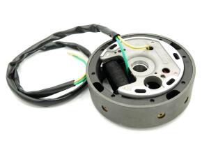 Elektronische Renn Zündung mit Polrad linksdrehend