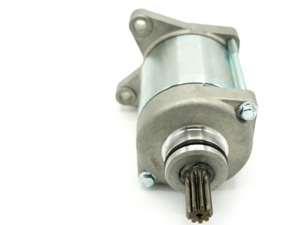 Motore di avviamento per Honda TRX250TM TRX250TE FourTrax Recon / ES 229cc 2008-2020