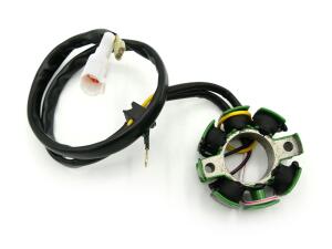 Lichtmaschine 50W Lighting Stator For für KTM 250...