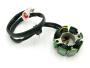 Lichtmaschine 50W Lighting Stator For für KTM 250 SX-F SXS-F 400 SX 450 SMR SXS XC 520 525 SX / Husaberg FC 550 450 2000-2010