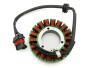 Lichtmaschine Polaris Scrambler 850 / HO 1000 Sportsman 850 / HO / X2 1000 2009-2015