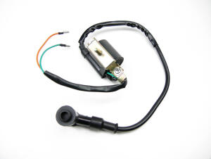 Ignition coil assy Skyteam 50 / 125 Max / Mini + spark plug cap