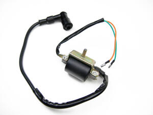 Ignition coil assy Skyteam 50 / 125 Max / Mini + spark plug cap