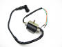 Ignition coil assy Skyteam 50 / 125 Max / Mini + spark plug cap