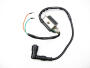 Ignition coil assy Skyteam 50 / 125 Max / Mini + spark plug cap