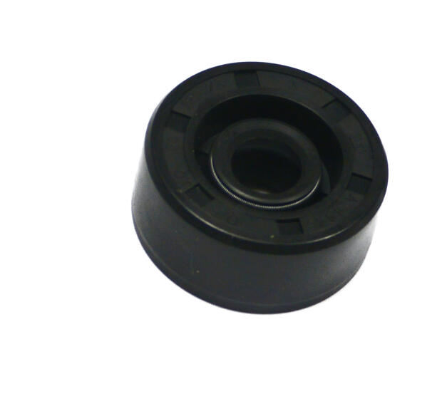 Simmerring 10x31x13,5/3 mit doppelten Dichtlippen