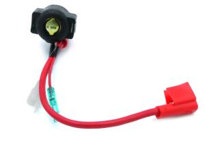 Starterrelais Original für Triton Access 700, 450, 300, 250