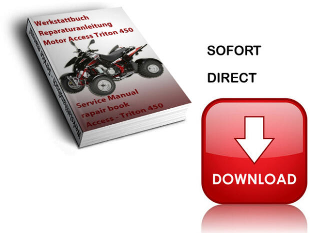 Werkstatthandbuch, Reparaturanleitung Access Triton 450 (Download/CD/ausgedruckt)