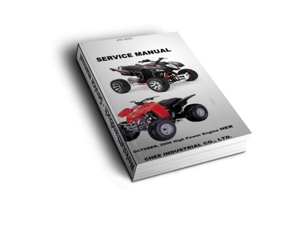 Werkstatthandbuch, Reparaturanleitung Bestia 3.3 Download