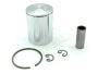 Pistons for 50cc different tolerances