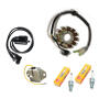 Lichtmaschine für Yamaha YFZ 350 Banshee 87-94 Stator Regler Zündspule Zündkerzen