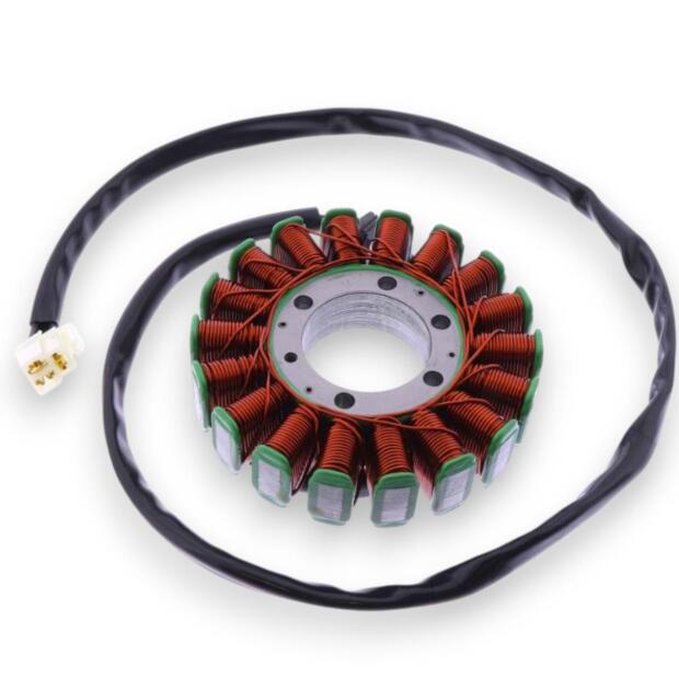 Lichtmaschine für Triumph Speed Triple 1050/Sprint 1050/Tiger 1050