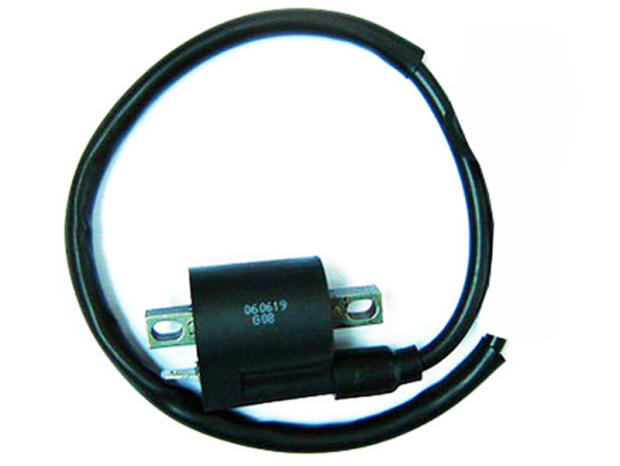Zündspule für Kymco Maxxer / MXer / MXU / KXR / 50 / 125 / 150