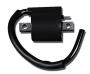 Zündspule für Kymco Maxxer / MXer / MXU / KXR / 50 / 125 / 150