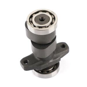 Steuerkette mit Nockenwelle für Honda TRX300EX/Sportrax300/TRX300X