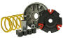 Variomatik für Honda SH 300 i / Forza NSS 300 Variator Malossi Multivar