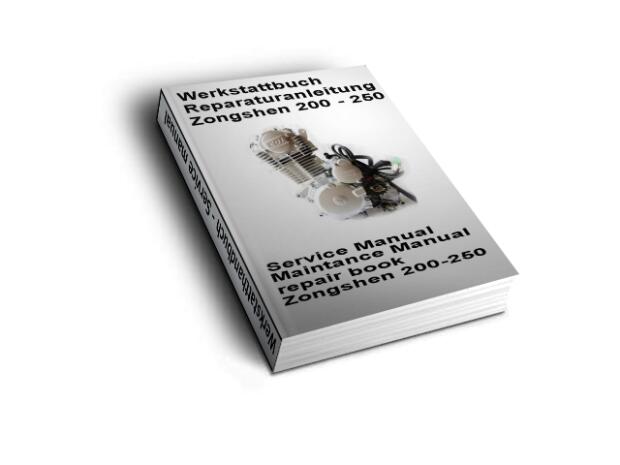 Werkstatthandbuch Motor China Quad ATV 200-250ccm (Download/CD/ausgedruckt)