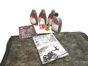 Kundendienst Wartung Inspektion für CF Moto CForce/X...