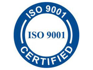 Disques dèmbrayage garnis pour Bombardier DS 650