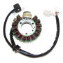 Lichtmaschine YFM 250-350 Bear Tracker Timberwolf Jianshe Puma250 Loncin-Bashan 250 Stator