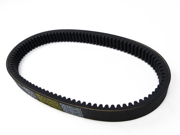 Antriebsriemen für SMC Barossa Jumbo 300 302 320 X-Spezialgewebe Riemen