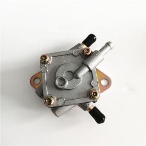 Benzinpumpe für Hyosung United Motors GT250R GV250...