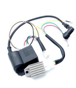 Alternator 6V 17W ignition Bosch type Hercules Mofa Sachs...