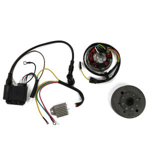 Lichtmaschine Evo2 Kontaktlose Zündung 6V 85W für Kreidler, Sachs, Hercules, Puch, Zündapp
