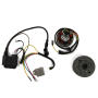 Lichtmaschine Evo2 Kontaktlose Zündung 6V 85W für Kreidler, Sachs, Hercules, Puch, Zündapp