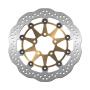 Brake disc for Kawasaki KLV 1000 04-07 front