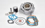 Cylinder for Aprilia RS 125 big bore kit Rotax 123 with 140cc tuning