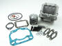 Cylinder for Aprilia RS 125 big bore kit Rotax 123 with 140cc tuning