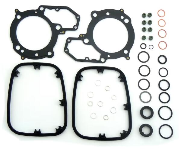 Dichtungssatz speziell passend für BMW R GS/RS 1100cc 1998-2006 Zylinder