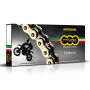 Chain Regina 525 x 116 ZRT Z-ring gold