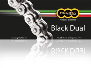 Chain Regina 530 x 106 Z-Ring ZRA