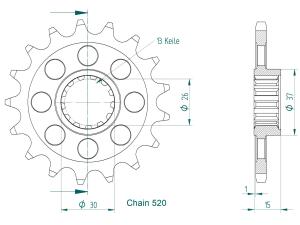 Ritzel für BMW S1000RR 1000 HP4 Race Zähnezahl 16