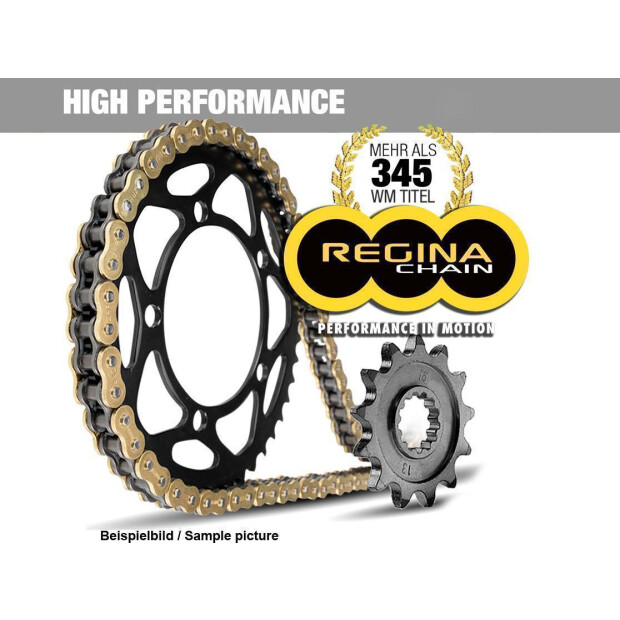 Kettensatz für Rieju Spike 50 Regina 420 x 120 Gold verstärkt